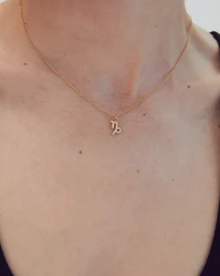 Celestial Necklace Capricorn