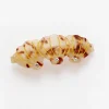 Claudia Clip in Tortoiseshell