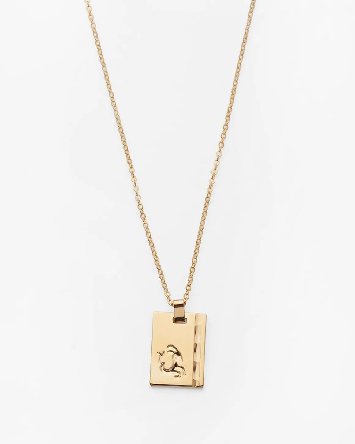 Gold Star Sign Necklace Capricorn