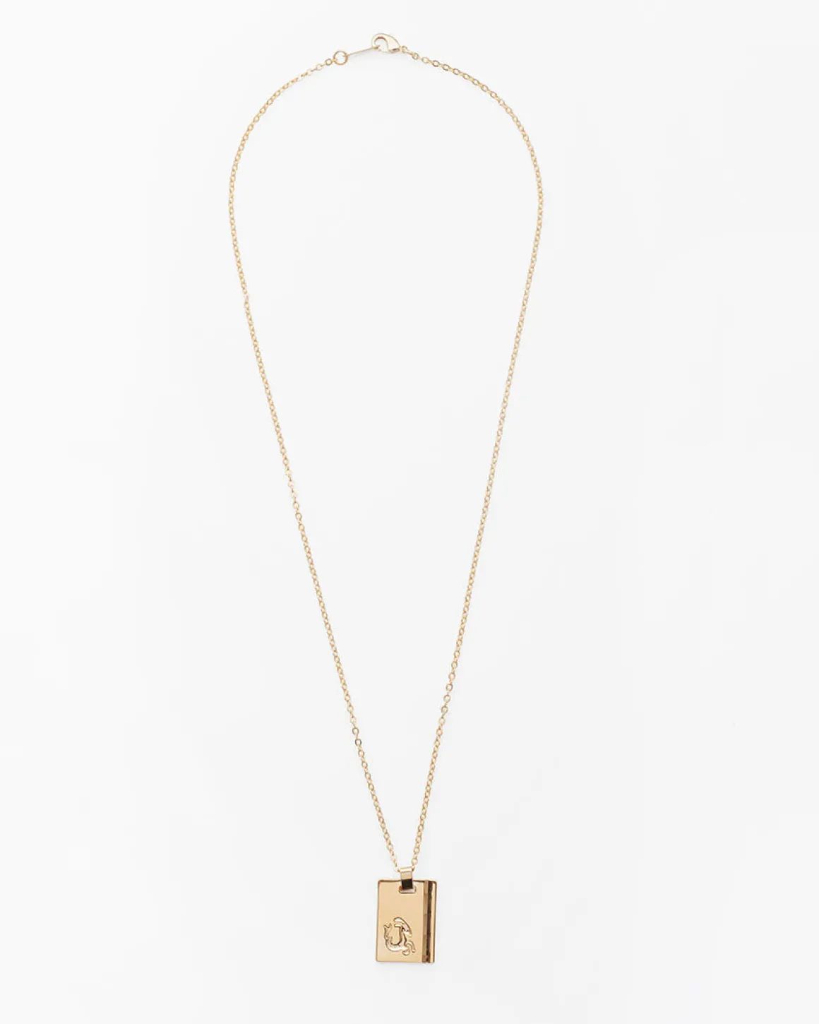 Gold Star Sign Necklace Capricorn