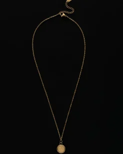 Pisces Zodiac Charm Necklace in Gold