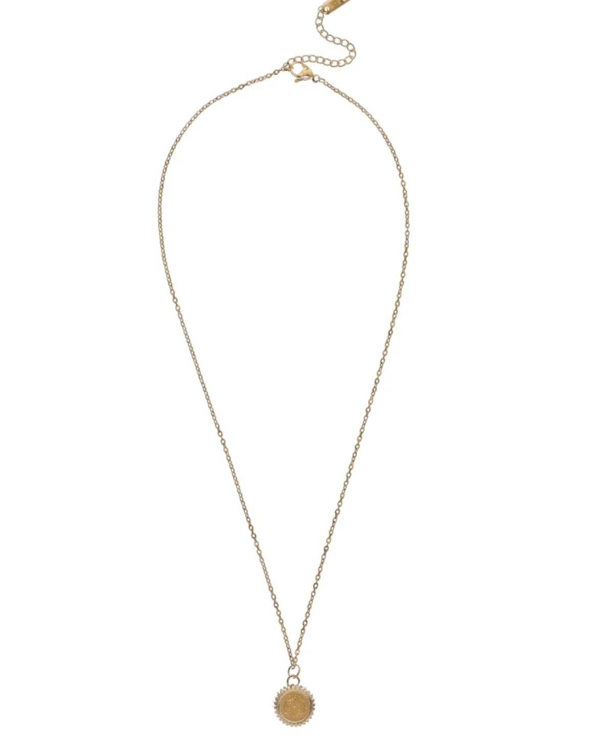 Pisces Zodiac Charm Necklace in Gold